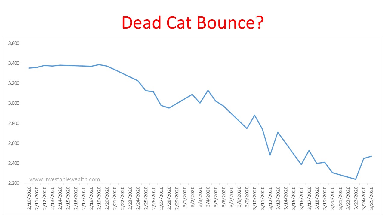 Stimulus Dead Cat Bounce?